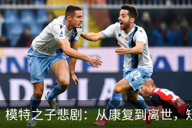 模特之子悲剧：从康复到离世，短短24小时的回忆